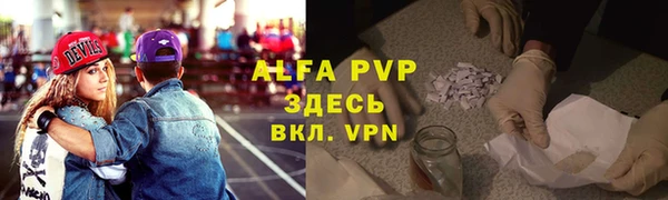 стафф Аркадак