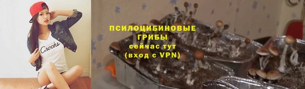 стафф Аркадак