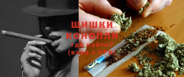 стафф Аркадак